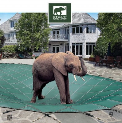 loop loc pool cover photo with elephant standing on it
